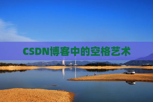 CSDN博客中的空格艺术